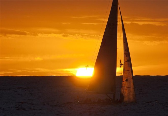 KNEE DEEP and albatross catch the sunset off Tasman Island - Rolex Sydney Hobart Yacht Race 2011 ©  Rolex/Daniel Forster http://www.regattanews.com